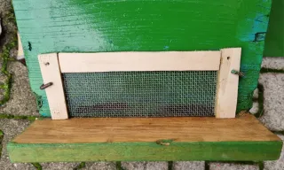 Casetta per miele e apicoltura, accessori omaggio