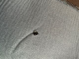 Traje Neopreno Subea 3.5mm Mujer Talla S + Capucha