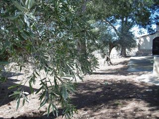 Chalet en venta en Yecla