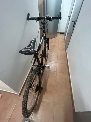 Bicicleta BH de montaña