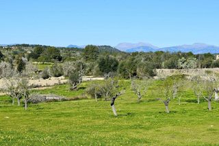 Solar en venta en Porreres
