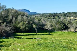 Solar en venta en Porreres