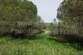 Solar en venta en Sotogrande Alto en San Roque