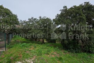 Solar en venta en Sotogrande Alto en San Roque