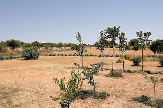 Chalet en venta en Onil