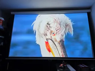 Proyector Epson EB-FH52 Full HD Nativo y pantalla