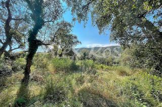 Terreno en venta en Mas Pere-Río de Oro en Calonge