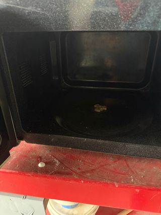 Microondas ProClean 3010 para repuesto