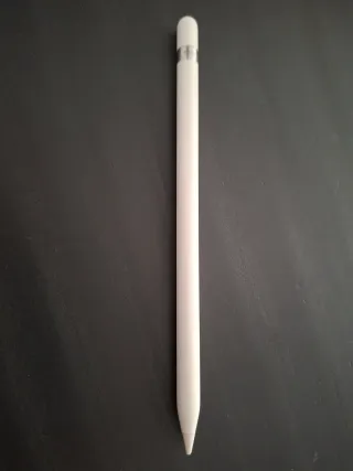 Apple Pencil 1ª Generación