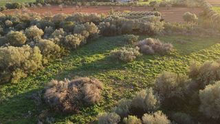 Solar en venta en Campos