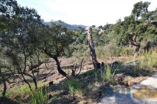 Solar en venta en Mas Pere-Río de Oro en Calonge