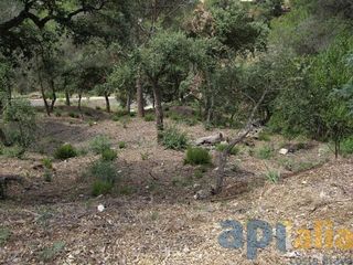 Solar en venta en Mas Pere-Río de Oro en Calonge