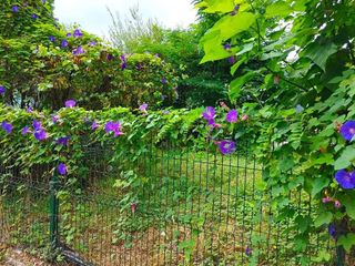 Terreno en venta en Astillero (El)