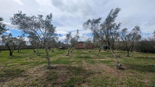 Terreno en venta en Tudela