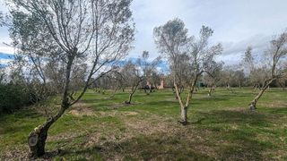 Terreno en venta en Tudela
