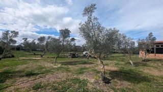 Terreno en venta en Tudela
