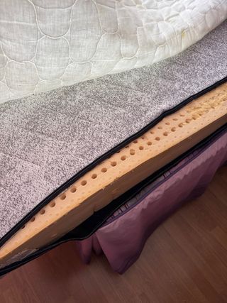 Cama articulada eléctrica