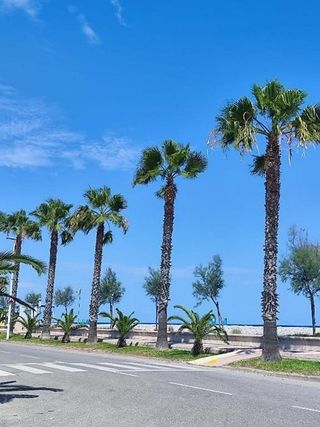 Terreno en venta en Moncófar playa en Moncofa
