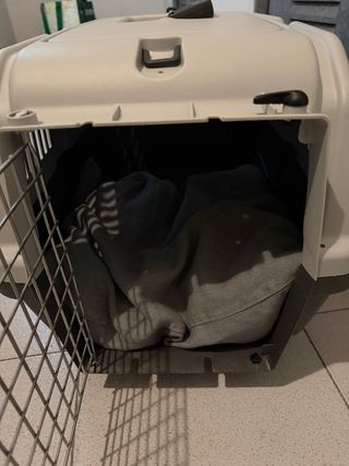 Transportín Perro Beige y Marrón