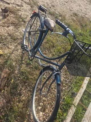 Bicicleta azul con cesta