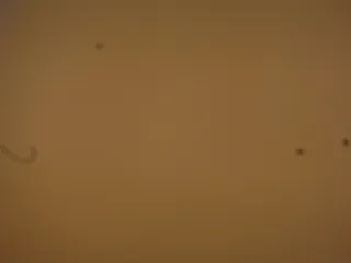 Panasonic Lumix TZ57 Fotocamera Digitale Nera