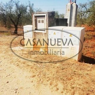 Terreno en venta en Sanlúcar la Mayor