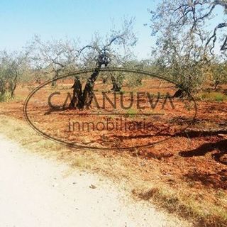 Terreno en venta en Sanlúcar la Mayor