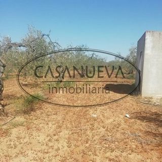 Terreno en venta en Sanlúcar la Mayor
