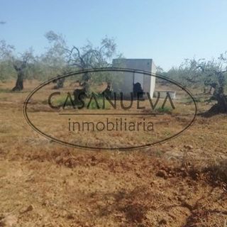 Terreno en venta en Sanlúcar la Mayor