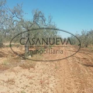 Terreno en venta en Sanlúcar la Mayor