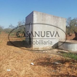 Terreno en venta en Sanlúcar la Mayor