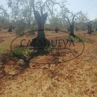 Terreno en venta en Sanlúcar la Mayor
