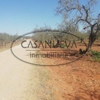 Terreno en venta en Sanlúcar la Mayor