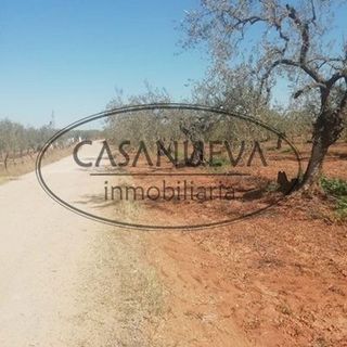 Terreno en venta en Sanlúcar la Mayor