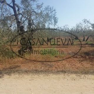 Terreno en venta en Sanlúcar la Mayor