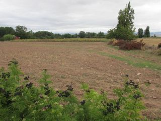 Terreno en venta en Villamediana de Iregua