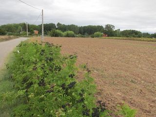 Terreno en venta en Villamediana de Iregua