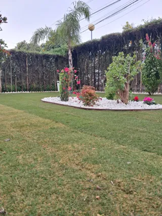 Trabajos y mantenimiento