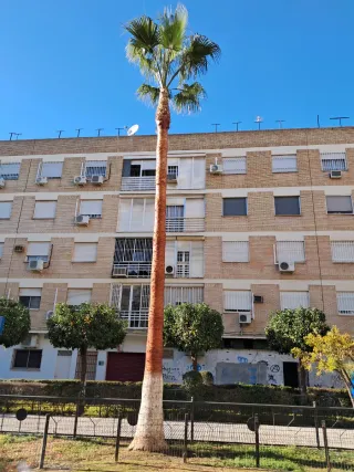 Trabajos y mantenimiento