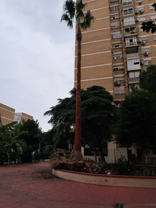 Trabajos y mantenimiento