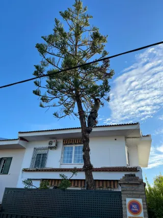 Trabajos y mantenimiento