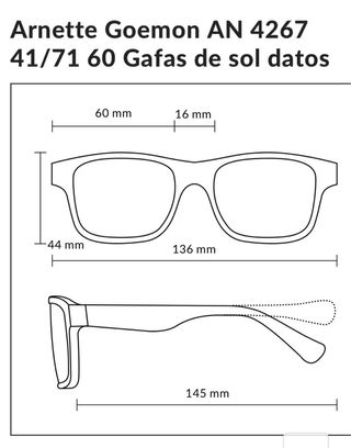 Gafas de sol Arnette Goemon AN 4267