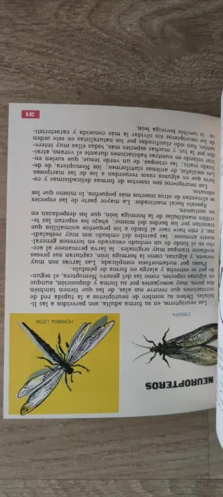 Mi colección de insectos
