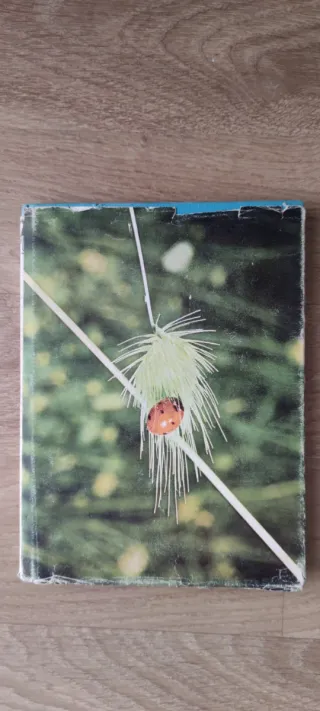 Mi colección de insectos