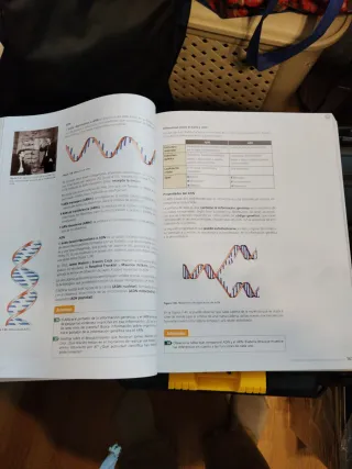 Inicia Biología y Geología 1.º Bachillerato. Li...