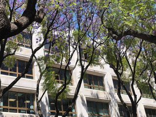 Oficina en alquiler en Centro en Jerez de la Frontera