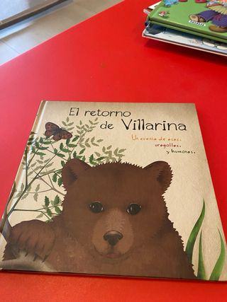 Lote 10 libros infantiles