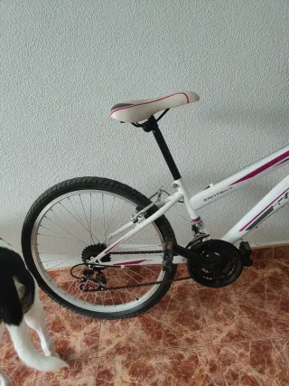 Bicicleta Montaña Blanca y Rosa