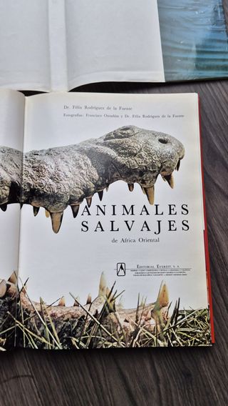 Animales salvajes: De África Oriental