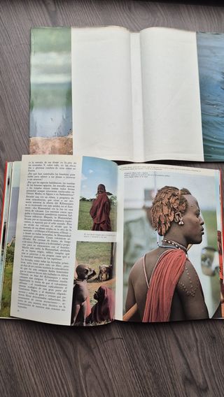 Animales salvajes: De África Oriental